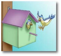 Building a Better Birdhouse